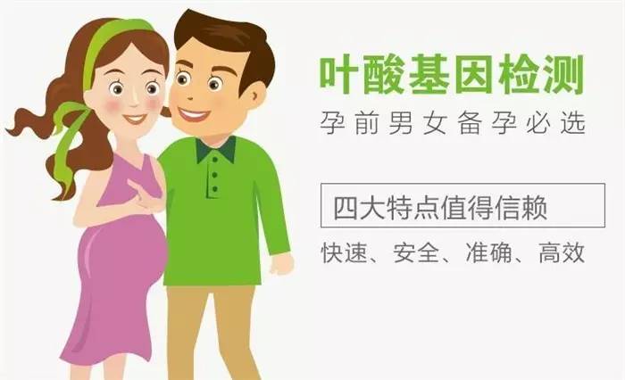 叶酸代谢能力基因检测升级版