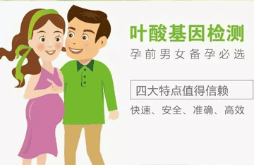 叶酸代谢能力基因检测